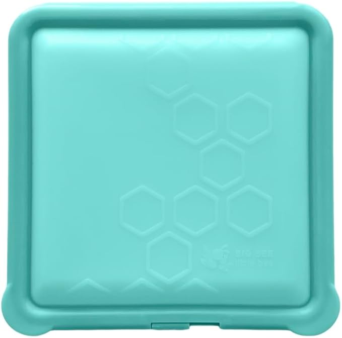 Big Bee, Little Bee - SoftShell Reusable Silicone Food Storage Container with Lid, Easy to Clean, Lays Flat, Snaps Closed, Microwave, Freezer & Dishwasher Safe, As Seen on Shark Tank (Aqua)