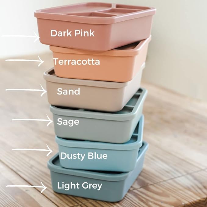 Spoondrift 100% Food Grade Eco-Friendly Leak-Proof Silicone Bento Box Lunchbox, Microwave Safe | For Child And Adult, 4 Compartment, Choose from 6 Colors, Includes 1 Box (Terracotta)