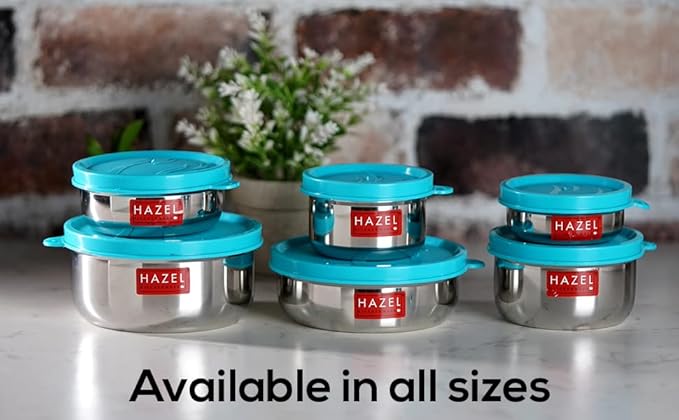HAZEL Stainless Steel Airtight Containers for Storage | Small Storage Containers for Kitchen & Tiffin Boxes with Leak Proof Lid, 90 ML