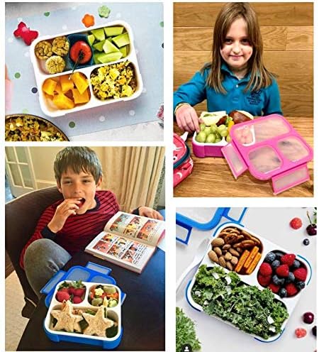 Bento Box for Kids, Toddler Lunch-Box for Small Boys Girls in School, Pre-School or Daycare, Leakproof 3 Compartment Containers for Portion Control Snacks for Adults, BPA Free. Medium Blue Pink 2 pack