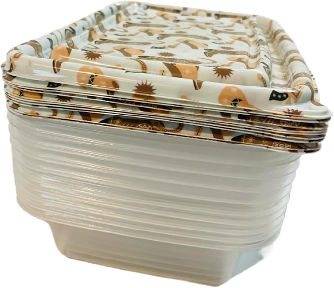COOK WITH COLOR 20 PIECE PLASTIC RECTANGULAR FOOD CONTAINERS, 10 LIDS & 10 CONTAINERS CAPACITY 33.8 OZ (1L) 9 X 6 X 2 (western)