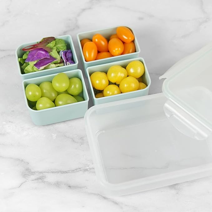 carrotez Food Storage Container with 4 Removable Compartments, Food Prep Container with Airtight Lids, Portion Control Container, Reusable, BPA Free, 4.6 Cup(1100ml)