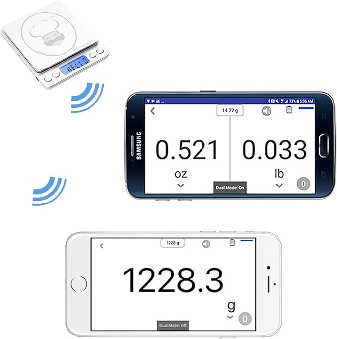 Super Egg Scale - Egg Sizing, Sizes, Grading, Egg Weight Analysis, reflex 3000g / 0.1g Digital Scale Grams and Ounces USB Rechargeable, Portable, Accurate, Metal Stainless Steel Surface