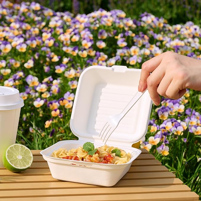 JOLLY CHEF Clamshell To Go Containers, 6" x 6" 200-Pack, Sugarcane To Go Boxes for Salad, Lunch