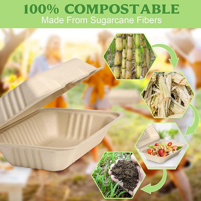 greensight 9 x 6 Clamshell Take Out Food Containers, 75 Pack Disposable To Go Containers, Compostable To Go Boxes, Biodegradable Food Containers Made of Sugar Cane Fibers