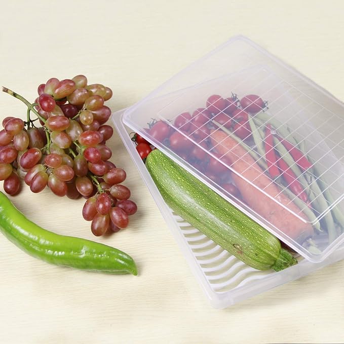 Food Storage Container, Plastic Food Containers with Removable Drain Plate and Lid, Stackable Portable Freezer Storage Containers - Tray to Keep Fruits, Vegetables, Meat and More (4,Large)