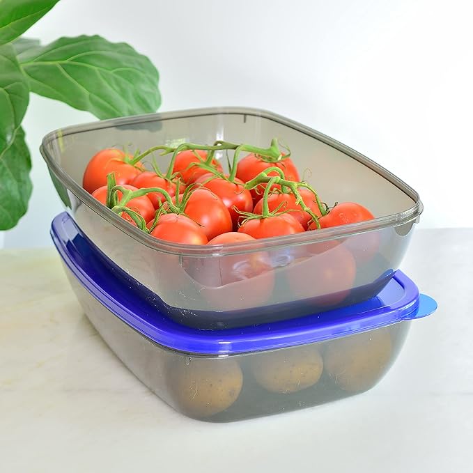 Youngever 2 Pack Extra Large Food Storage Containers (1.5 Gallon 15 inch x 11 inch x 4 inch)