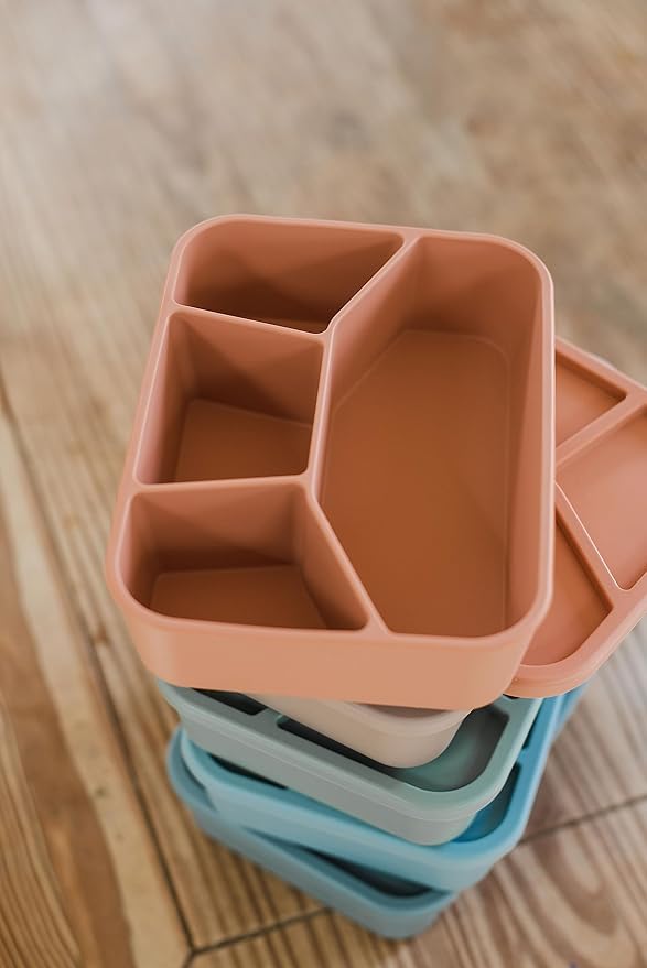 Spoondrift 100% Food Grade Eco-Friendly Leak-Proof Silicone Bento Box Lunchbox, Microwave Safe | For Child And Adult, 4 Compartment, Choose from 6 Colors, Includes 1 Box (Terracotta)