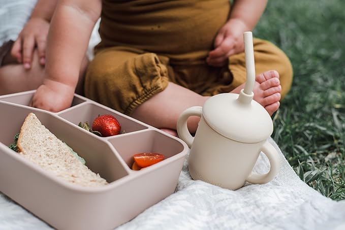 Spoondrift 100% Food Grade Eco-Friendly Leak-Proof Silicone Bento Box Lunchbox, Microwave Safe | For Child And Adult, 4 Compartment, Choose from 6 Colors, Includes 1 Box (Sand)