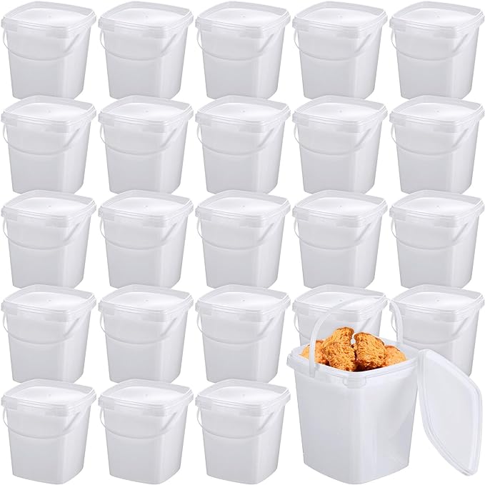 Mifoci 24 Pcs Plastic Food Containers Ice Cream Buckets with Lids and Handle Reusable Square Deli Containers Freezer and Microwave Safe for Kitchen Food Drinks Storage(67 Oz/ 2 Qt / 0.5 Gallon)