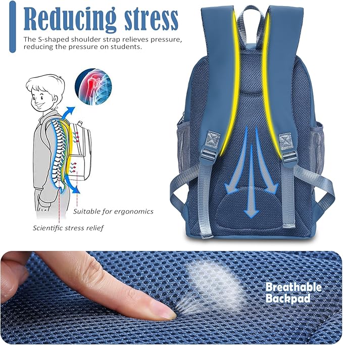 NOL Natural Organic Lifestyle Kids 2-in-1 Backpack & Insulated Lunch Bag-16"Multi-Functional Large Compartments Backpack for School & Travel, Double Deck, Water Resistant, Leak-proof,Padded-Dusty blue