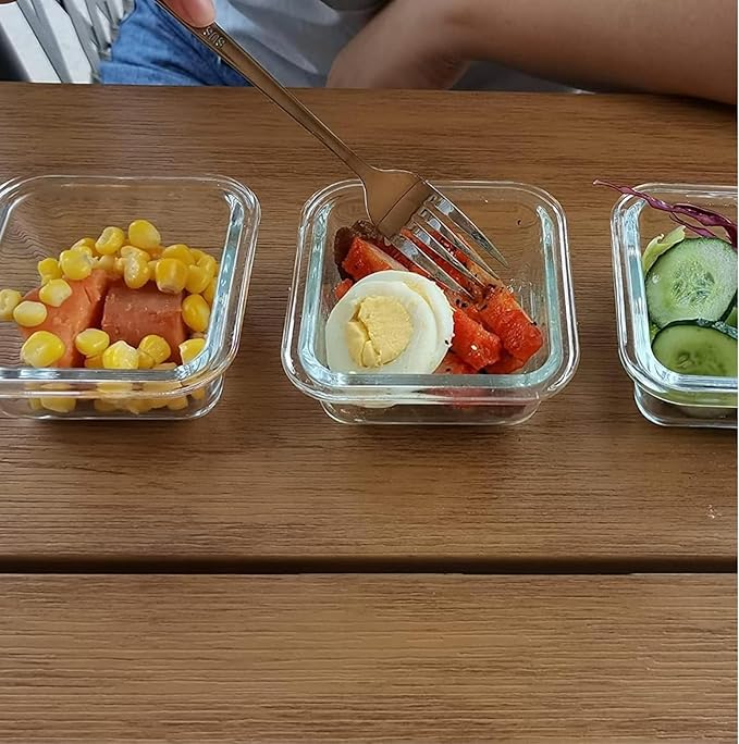 Bariatric Meal Prep Containers, Glass Portion Control Containers 3 Pack, Microwave Safe Glass Meal Prep Containers with Lids