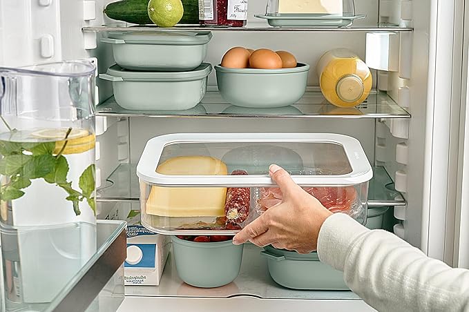 Mepal Cirqula 76oz/2,250ml Multi Food Storage & Shallow Serving Bowl with Transparent Lids | Perfect for Food Prep | Microwave & Dishwasher Safe | Nordic Lilac | Made in Holland
