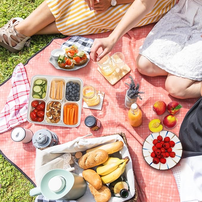 Divided Serving Tray with Lid and Handle, Portable Snack Box Container, 6 Compartments Veggie Fruit Snackle Tray, Charcuterie Platter Box Container for Party, Nuts, Snacks, Entertaining, Picnic,2 Pack