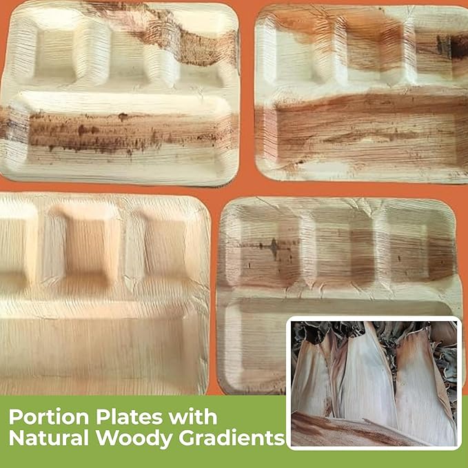 Palm Leaf Compartment Plate Disposable 11x9 Inch (50 Pc.) Bamboo Divided Plate look Compostable Portion Plates For Lunch Canteens, Picnic, Birthday | Sturdy Alternate to Paper Sectional Plates