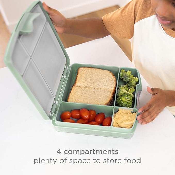 Ubbi Bento Lunch Box for Kids with 4 Compartments, BPA-Free, Leakproof, Dishwasher Safe, Food-Safe Material, Portion-Controlled Lunch Container, Kids Summer Camp, Sage Green (Pack of 2)