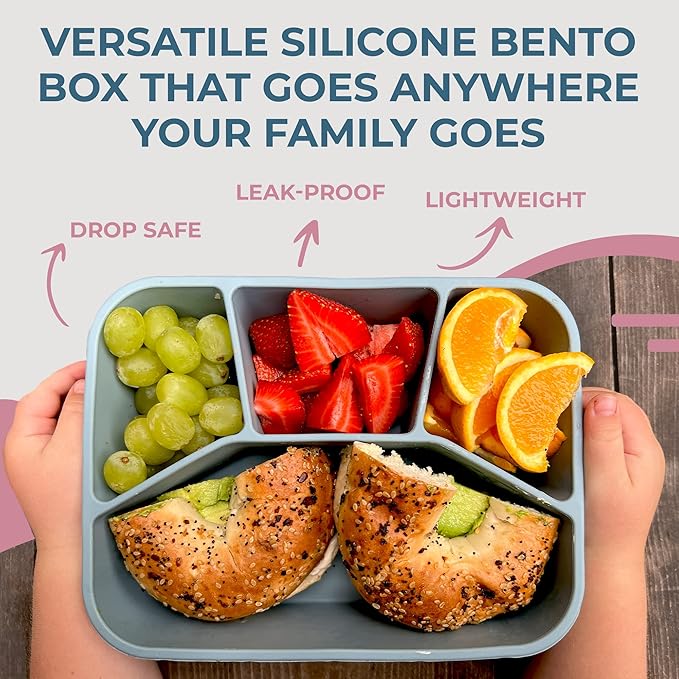 Spoondrift 100% Food Grade Eco-Friendly Leak-Proof Silicone Bento Box Lunchbox, Microwave Safe | For Child And Adult, 4 Compartment, Choose from 6 Colors, Includes 1 Box (Terracotta)