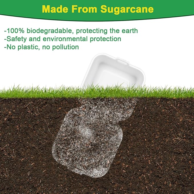6x6 Clamshell Take Out Containers, 100 Pack To Go Boxes, Compostable To Go Food Containers, Heavy-Duty Take Out Boxes Made Of Sugar Cane Fibers