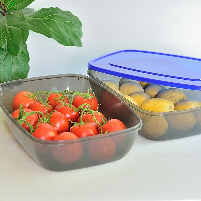 Youngever 2 Pack Extra Large Food Storage Containers (1.5 Gallon 15 inch x 11 inch x 4 inch)