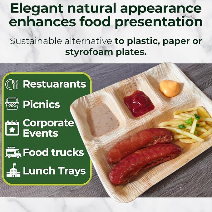 Palm Leaf Compartment Plate Disposable 11x9 Inch (50 Pc.) Bamboo Divided Plate look Compostable Portion Plates For Lunch Canteens, Picnic, Birthday | Sturdy Alternate to Paper Sectional Plates