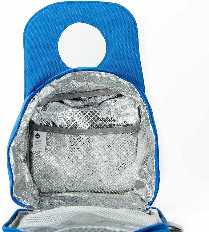Designer Insulated Lunch Bag, Blue Reusable Cooler Tote for Food & Drinks, Perfect for Women, Men and Kids, Stylish for boy and girls of all ages (Blue Stripe)