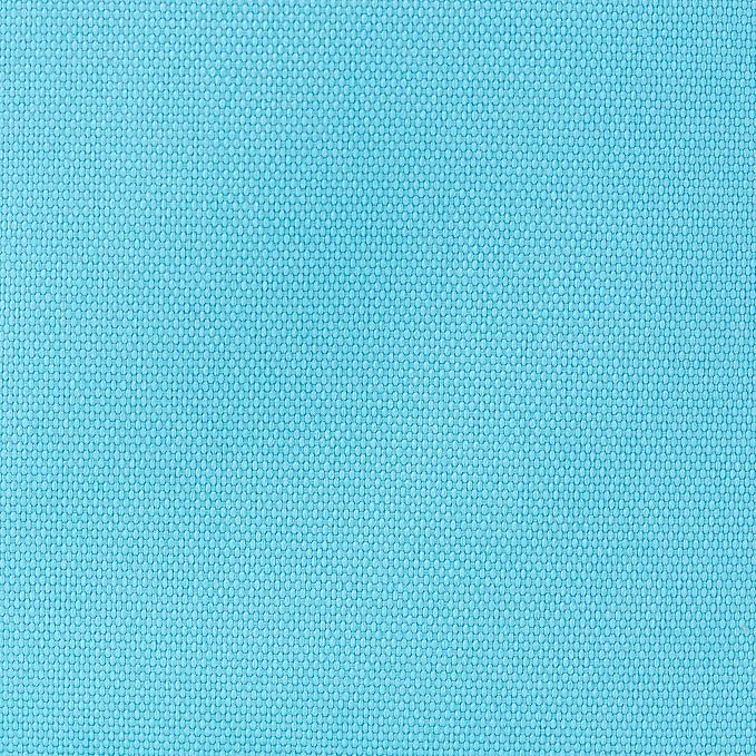 Designer Insulated Lunch Bag, Baby Blue Reusable Cooler Tote for Food & Drinks, Perfect for Women, Men and Kids, Stylish for boy and girls of all ages (Light Blue)