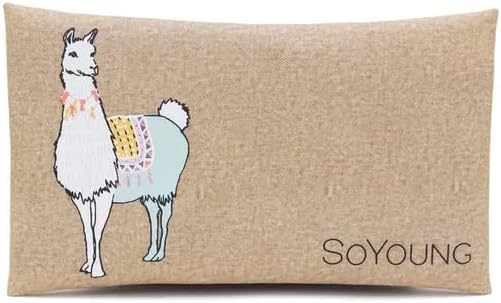 SOYOUNG Groovy Llama Ice Pack, 1 EA