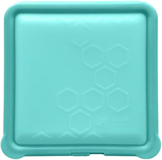 Big Bee, Little Bee - SoftShell Reusable Silicone Food Storage Container with Lid, Easy to Clean, Lays Flat, Snaps Closed, Microwave, Freezer & Dishwasher Safe, As Seen on Shark Tank (Aqua)