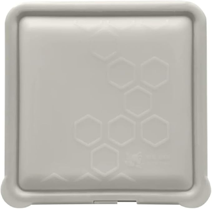 Big Bee, Little Bee - SoftShell Reusable Silicone Food Storage Container with Connected Clamshell Lid, Easy to Clean, Snaps Closed, Microwave, Freezer & Dishwasher Safe (Stone)