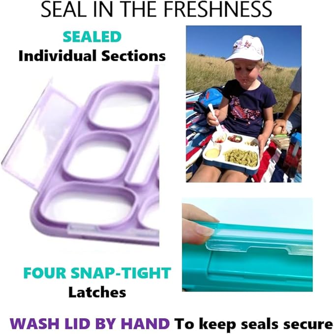 kinsho Bento Lunch Box Kids & Adult: Leakproof Lunch Containers for Boys & Girls with 6 Compartments - School, Daycare, Meal Planning Portion Control Container, BPA-Free Boxes, Utensils | Purple Teal