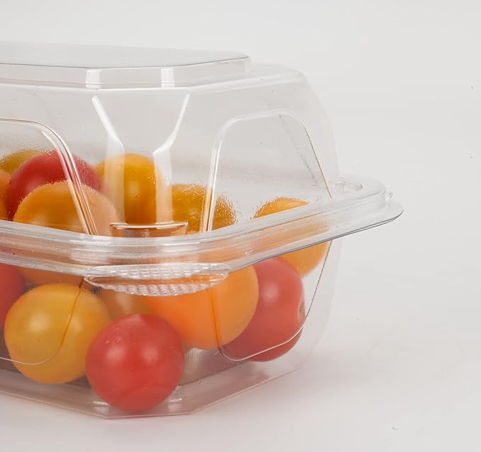 Golden Apple, Clear Plastic Square Hinged Food Container, 5" Length x 9" Width x 3" Depth, 20pieces