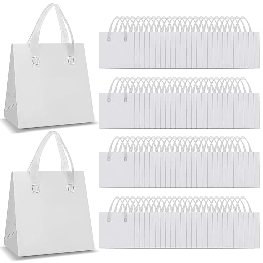 Kacctyen 100 Pcs Insulated Take Out Bags Bulk 9.5 x 6 x 9.5 in Thermal Insulation Food Bag for Coffee, Milk Tea, Hot Cold Food, Delivery Cooler Bag for Catering Restaurant Grocery Picnic (White)