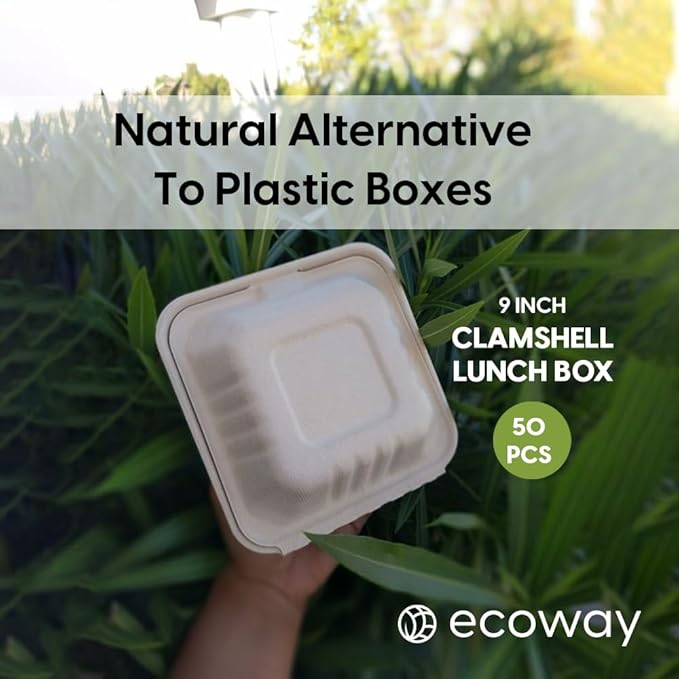 9 Inch Food Box Container Made With Bagasse Sugar Cane Fibers For Meals & Dessert, Take Away Container, Disposable, Eco-friendly, Compostable, Restaurants - Pack Of 50, White