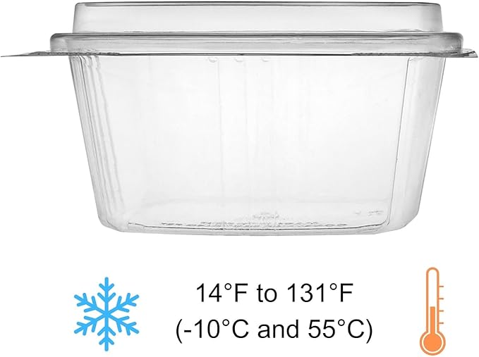 16oz Tall Dome RPET Clear Hinged Lid Deli Container- 200Pcs