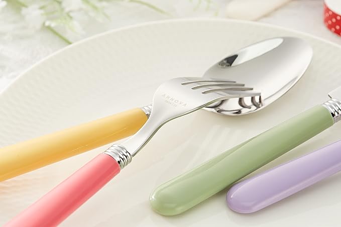 ANNOVA Silverware Set 20 Pieces Stainless Steel Cutlery Color Handle Flatware - 4 x Dinner Knife; 4 x Dinner Fork; 4 x Salad Fork; 4 x Dinner Spoon; 4 x Dessert Spoon (Mix Color)