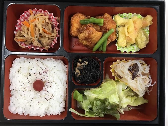 JapanBargain 1592, Red and Gold Japanese Traditional Plastic Lacquered Lunch Bento Box 5 Compartments for Restaurant or Home Tray and Plate 2pc Set Made in Japan, 11.75"x9.5"