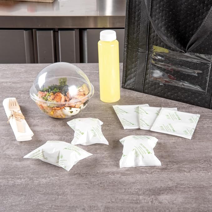Restaurantware Delivery Tek 5.1 x 3.7 Inch Shipping Ice Packs 100 Durable Cold Packs - Easy-To-Use Design Leakproof Plastic Dry Ice Packs Reusable For Frozen Meat Vegetables or Beverages