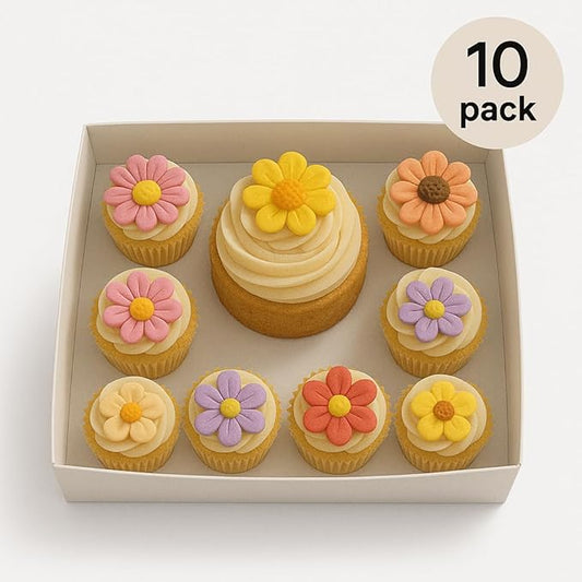 Sweet Degrees 10 Pack Cake And 8 Cupcakes Bento Box | Transparent And Clear Dessert Storage Container With Lid | Portable Box For Cakes & Cupcakes, Treats | Bpa-Free | Great For Birthdays & Parties