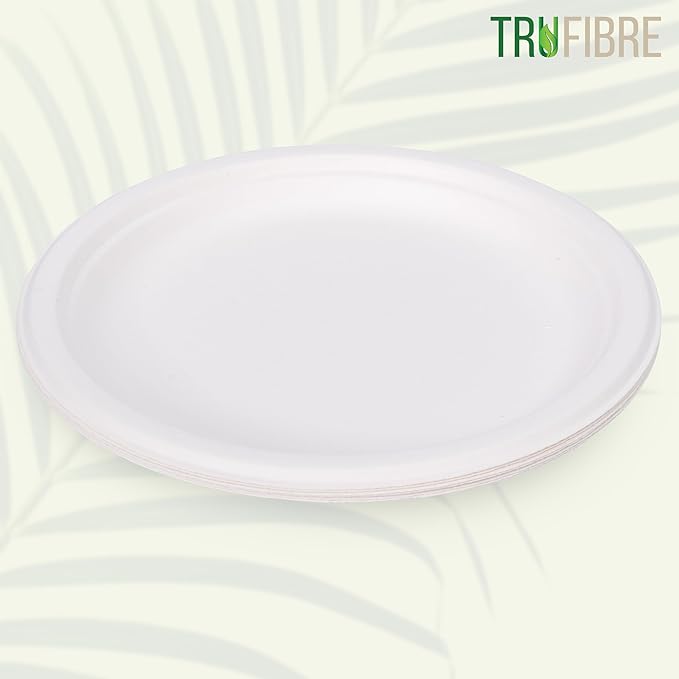 9" Paper Plates, Compostable Bagasse Food Container, Disposable, Microwave Safe for Lunch, Dinner, Party, Supplies, Events, Bulk 125 Pack
