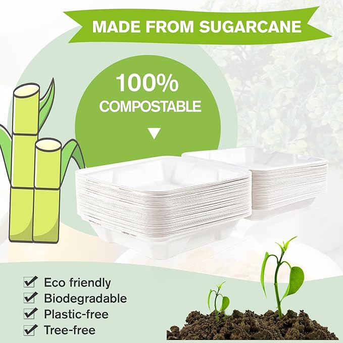 ECOLipak 50 Pack Clamshell Take Out Food Containers, 100% Compostable Disposable To Go Containers, 8X8 inch Heavy-Duty To Go Boxes for Food