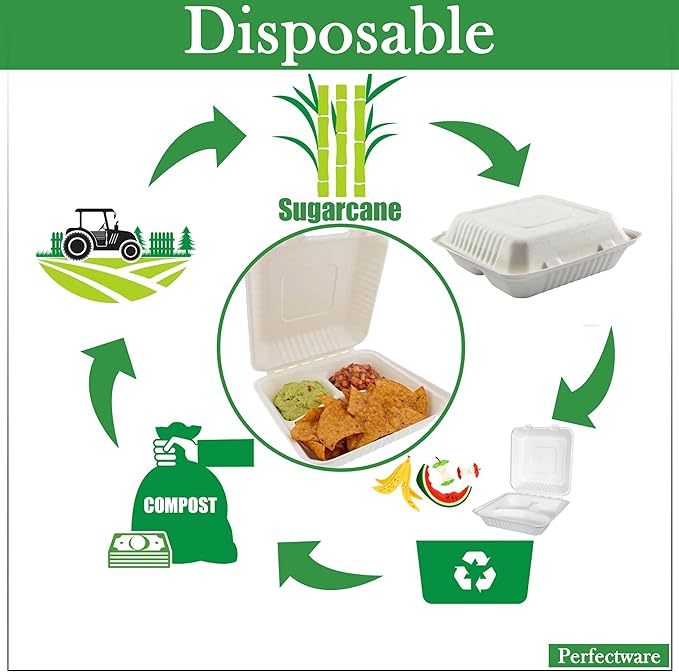 100% Compostable 3 Comp Take Out Food Containers 9x9x 3. 100 Containers, Natural Disposable Bagasse, Eco-Friendly Biodegradable Made of Sugar Cane