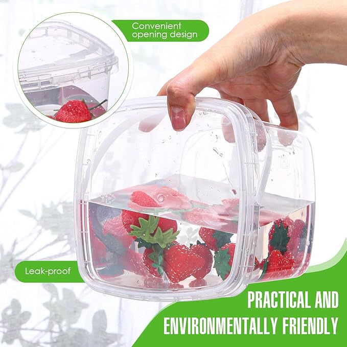 15 Pcs 68 oz Plastic Deli Containers with Lids and Handles Square Clear Food Storage Containers Reusable Freezer Containers for Food Storage and Meal Prep, Freezer and Microwave Safe