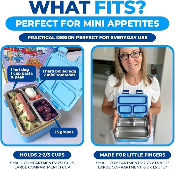 Stainless Steel Lunch Box for Baby Toddlers Boys, Mini Bento, 3 Eco Metal Portion Sections Leakproof Lid, Pre-School Daycare Lunches, Kids Spill-Proof Snack Container, 18 oz/ 550 mL Blue Cute Monster