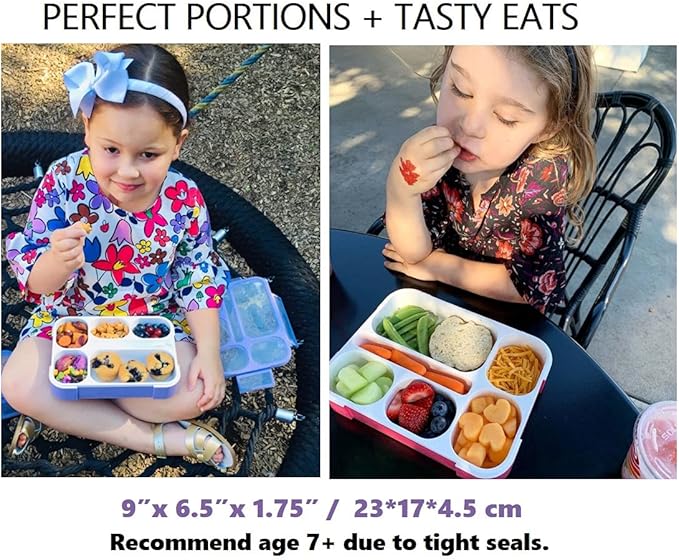 Bento Boxes with Bags and Ice Packs Set of 2. Lunch Box Snack Containers for Kids Boys Girls Adults. 6 Compartments, Leakproof Portion Container Insulated Bag for School Lunches, Pink, Purple