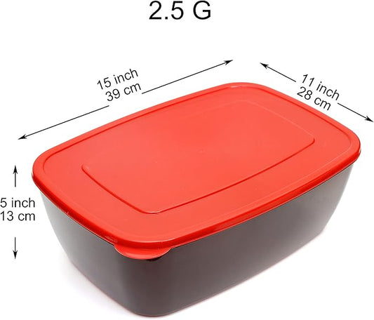 Youngever 2 Pack Extra Large Food Storage Containers (2.5 Gallon 15 inch x 11 inch x 5 inch)
