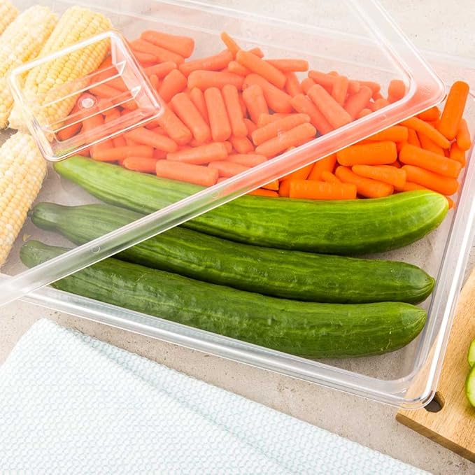 Restaurantware-2.5 Inch Deep Food Pans, 1 Full Size Commercial Food Storage Container - Freezable, Break-Resistant, Clear Plastic Cold Pans, Dishwashable, For Kitchens, Restaurants, Or Cafeterias