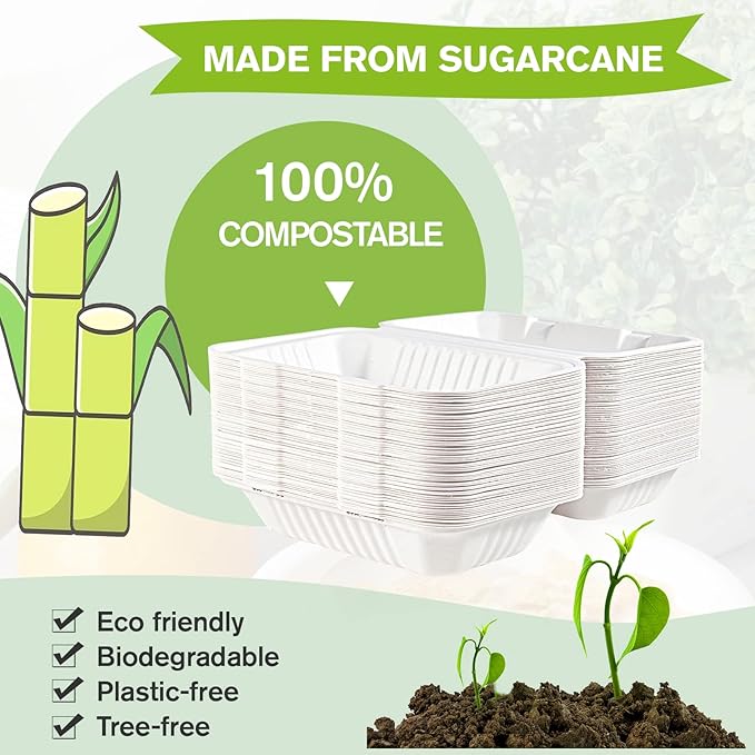 ECOLipak Clamshell Take Out Food Containers, 9 * 6 inch 75-Pack Disposable To Go Containers, To Go Boxes for Food Salad