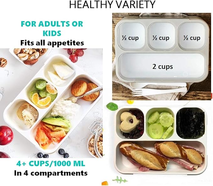 kinsho Bento Lunch Box Container for Kids Adults, Leakproof Portion Control Meal Prep Containers, Japanese Style Boxes with 4 Compartments for Boys Girls Teens | Grey
