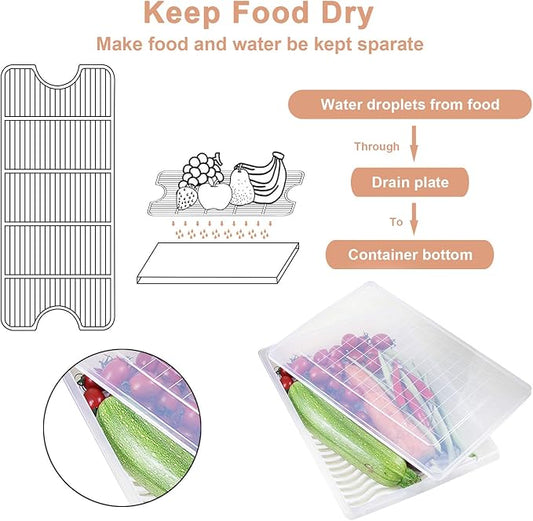 Food Storage Container, Plastic Food Containers with Removable Drain Plate and Lid, Stackable Portable Freezer Storage Containers - Tray to Keep Fruits, Vegetables, Meat and More (4,Large)