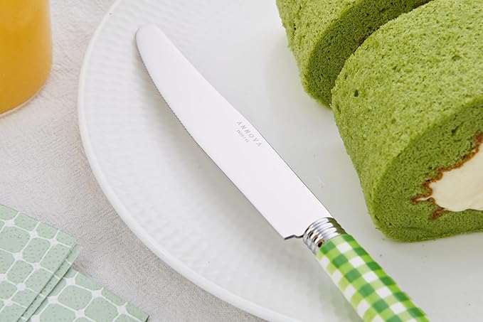 ANNOVA Silverware Set 20 Pieces Stainless Steel Cutlery Color Handle Flatware - 4 x Dinner Knife; 4 x Dinner Fork; 4 x Salad fork; 4 x Dinner Spoon 4 x Dessert Spoon (Green)